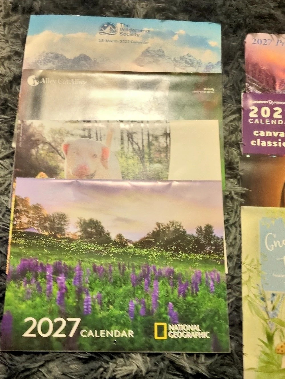 National Geographic 2027 Calendar Assortment Wall Calendars